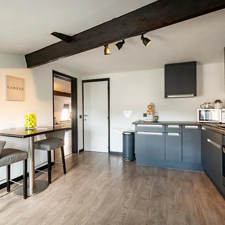 L'appart' By La Reine Center Daire Spa